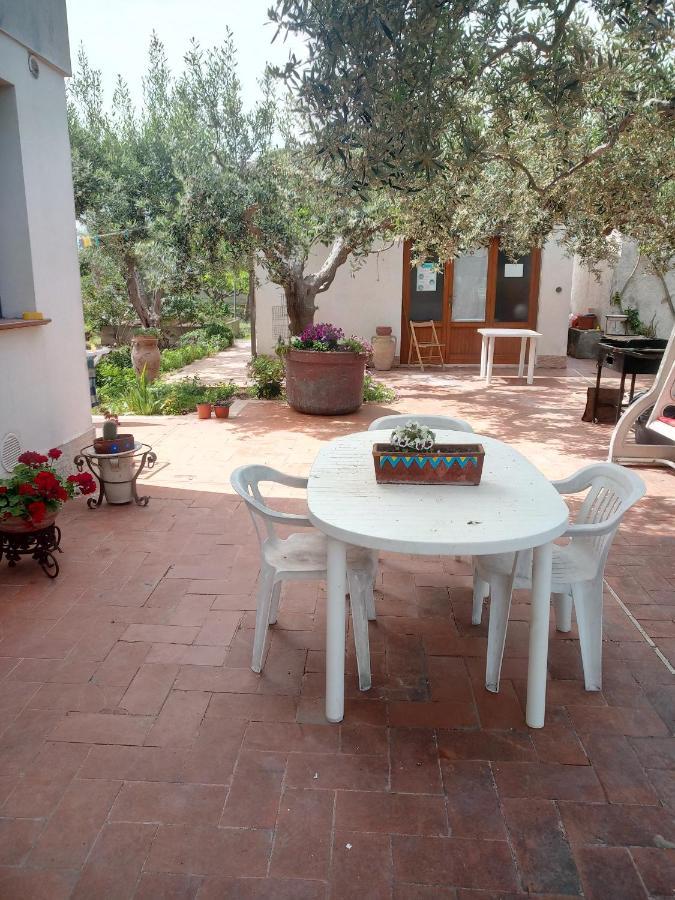 Dhalia Appartamenti Trapani Exteriör bild